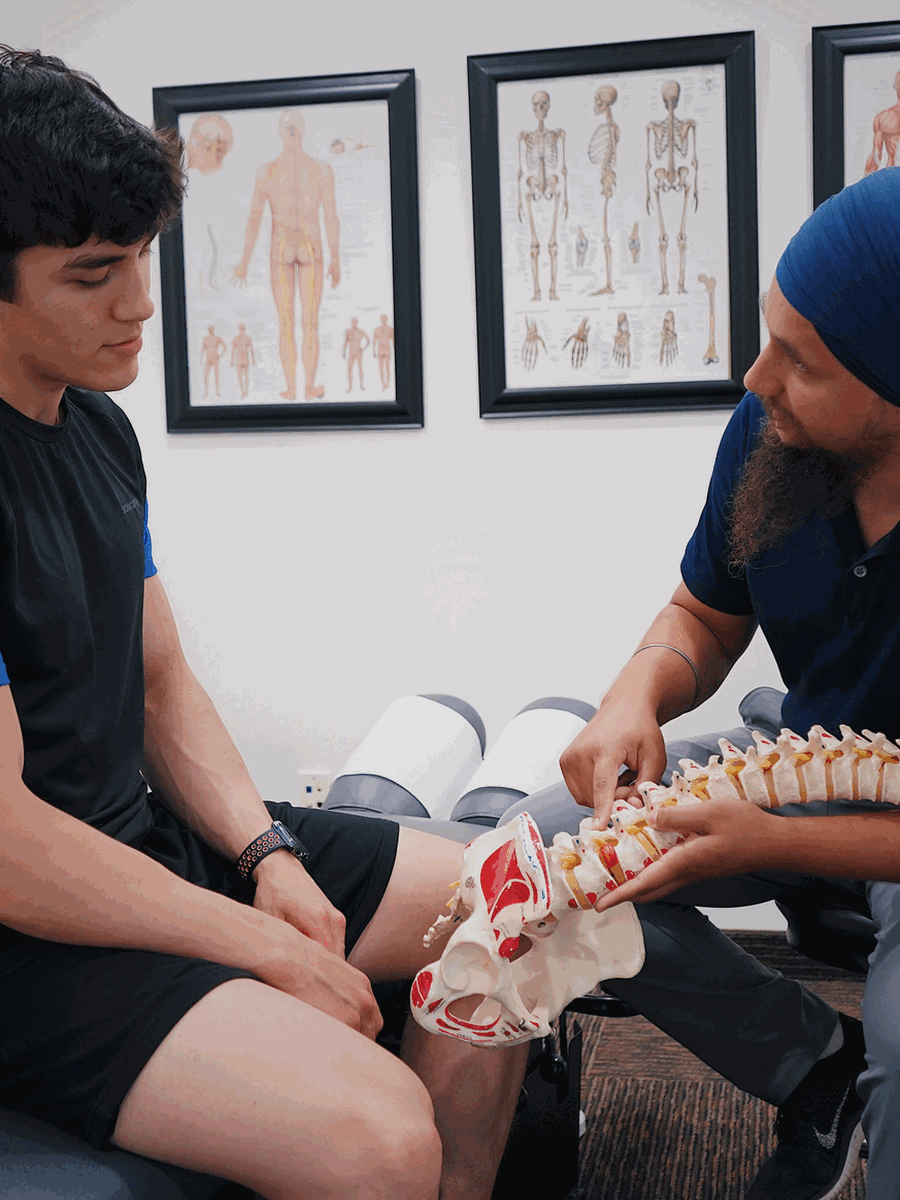 Disc protrusion, extrusion and sequestration: understanding MRI terminology